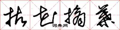 朱锡荣拈花摘叶草书怎么写
