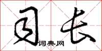 曾庆福司长草书怎么写