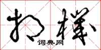 曾庆福相机草书怎么写