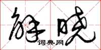 曾庆福解晓草书怎么写