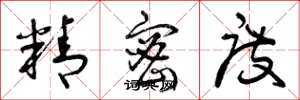 曾庆福精密度草书怎么写
