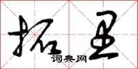 曾庆福拓里草书怎么写