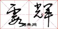 曾庆福霞辉草书怎么写