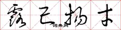 曾庆福露己扬才草书怎么写