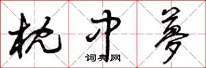 曾庆福枕中梦草书怎么写