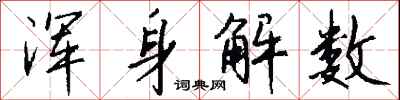 钱沛云浑身解数行书怎么写