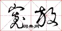 曾庆福宽放草书怎么写