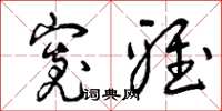 曾庆福宽雅草书怎么写