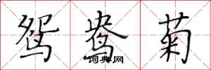 黄华生鸳鸯菊楷书怎么写