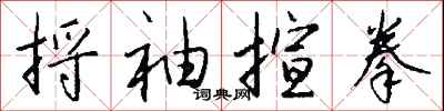 钱沛云捋袖揎拳行书怎么写