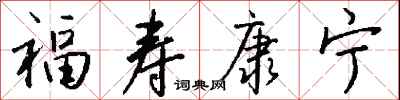 钱沛云福寿康宁行书怎么写