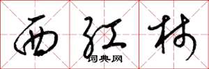 梁锦英西红柿草书怎么写