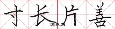 骆恒光寸长片善楷书怎么写