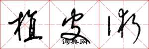 梁锦英植皮术草书怎么写