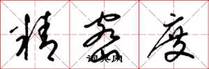 梁锦英精密度草书怎么写