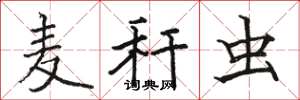 骆恒光麦秆虫楷书怎么写