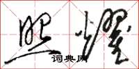 骆恒光照耀草书怎么写