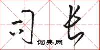 骆恒光司长草书怎么写