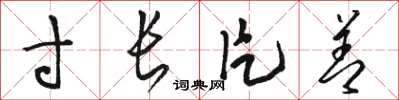 骆恒光寸长片善草书怎么写