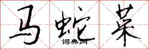 钱沛云马蛇菜行书怎么写
