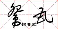梁锦英鸳瓦草书怎么写
