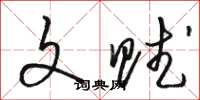 骆恒光文赋草书怎么写