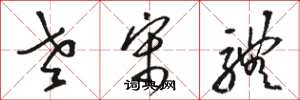 骆恒光老宋体草书怎么写