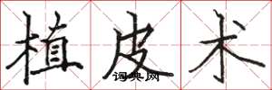 骆恒光植皮术楷书怎么写