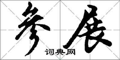 胡问遂参展行书怎么写