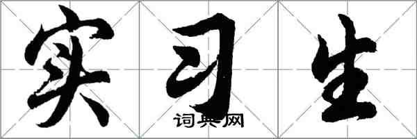 胡问遂实习生行书怎么写