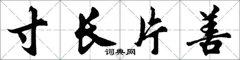 胡问遂寸长片善行书怎么写