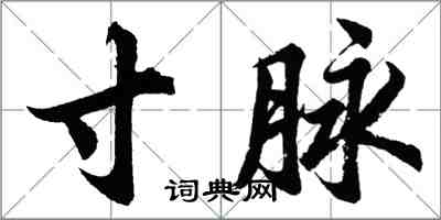 胡问遂寸脉行书怎么写