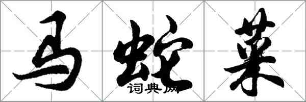 胡问遂马蛇菜行书怎么写
