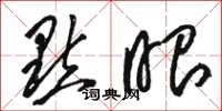 骆恒光點眼草书怎么写