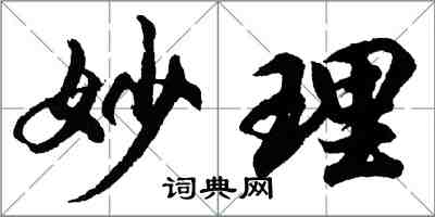胡问遂妙理行书怎么写