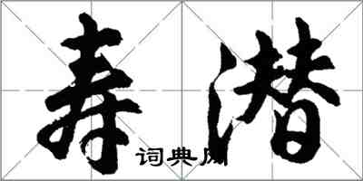 胡问遂寿潜行书怎么写