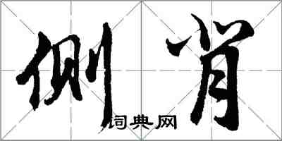 胡问遂侧背行书怎么写