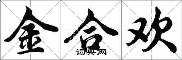 胡问遂金合欢行书怎么写