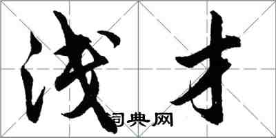 胡问遂浅才行书怎么写