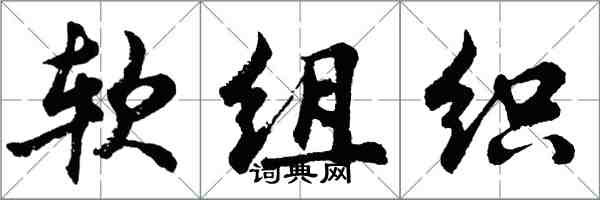 胡问遂软组织行书怎么写