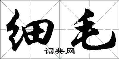 胡问遂细毛行书怎么写