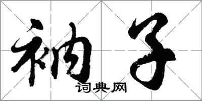胡问遂衲子行书怎么写