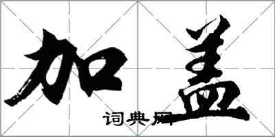胡问遂加盖行书怎么写