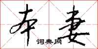 钱沛云本妻行书怎么写