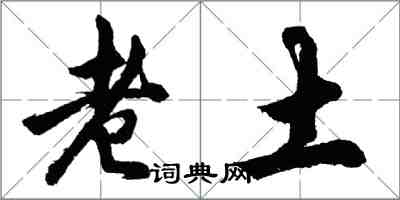 胡问遂老土行书怎么写