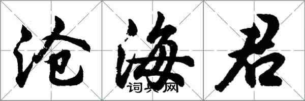 胡问遂沧海君行书怎么写