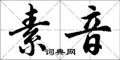 胡问遂素音行书怎么写