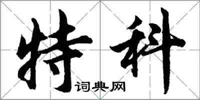 胡问遂特科行书怎么写