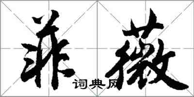 胡问遂菲薇行书怎么写