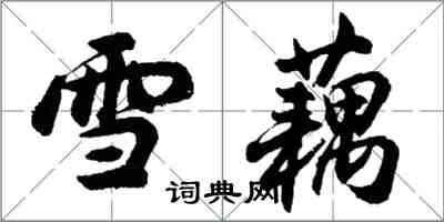 胡问遂雪藕行书怎么写